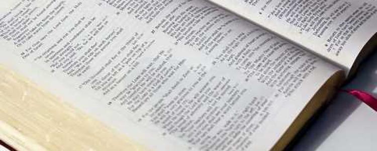 St Peters by the Sea Weekly Scripture
