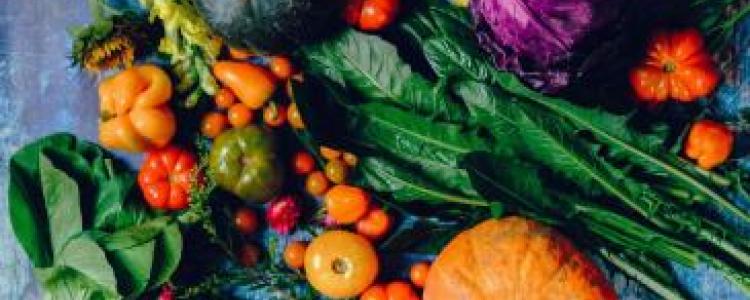 Fall Thanksgiving