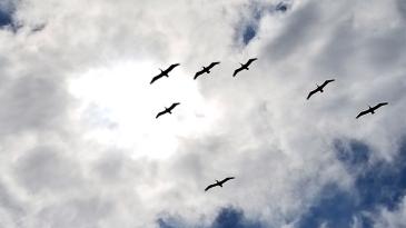 stpeters clouds cliffs