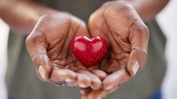 heart/hands